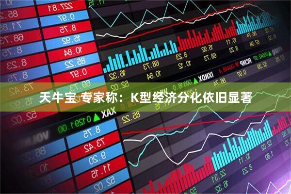 天牛宝 专家称：K型经济分化依旧显著